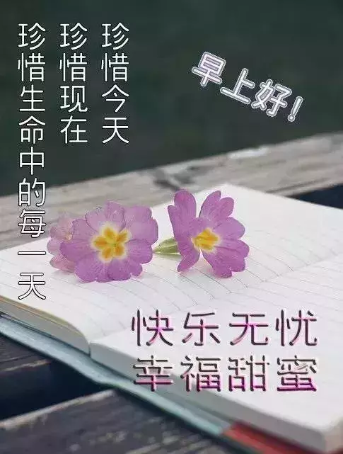 朋友感恩相遇的唯美句子（送朋友的10条感恩语录）