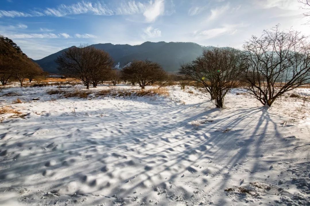 雪的诗词名句唯美（下雪感悟人生的句子）
