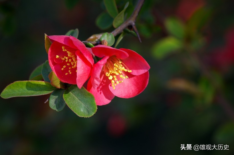 描写春天的诗歌短一点简单（关于春天的古诗大全）