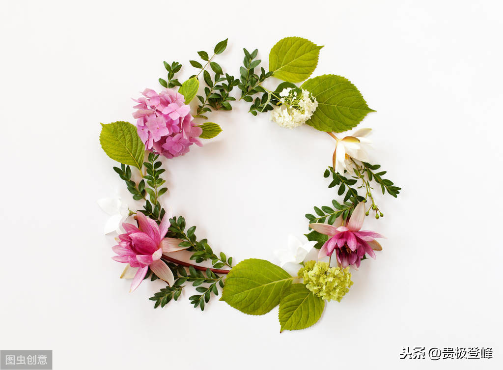 借景抒情的诗句有哪些（分享这8首借景抒情的名诗）