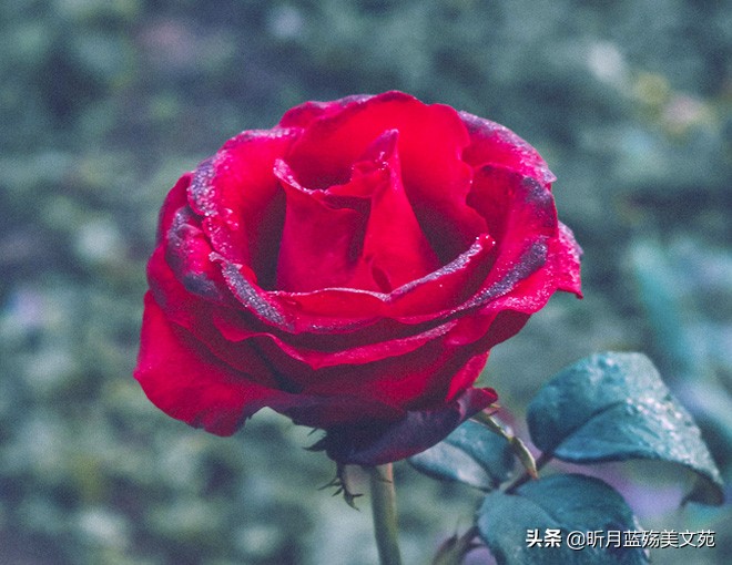 一切安好的唯美句子（很暖很治愈的短句）