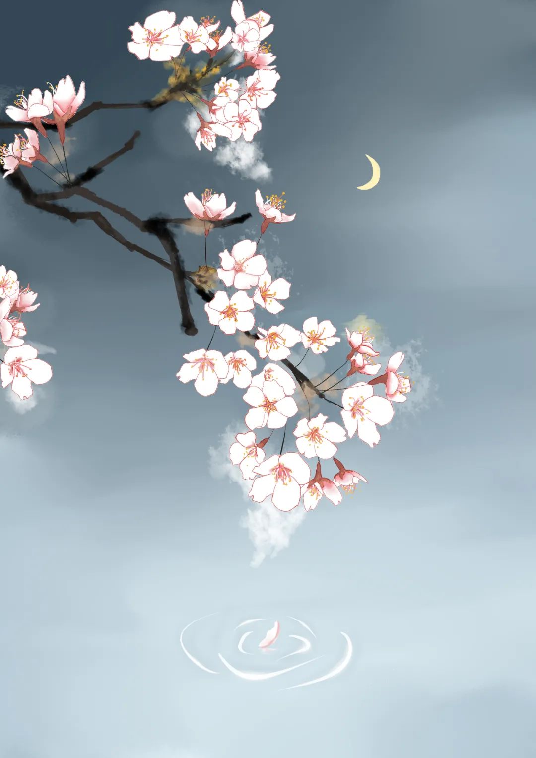 忆昔午桥桥上饮原文（临江仙忆昔午桥桥上饮翻译）