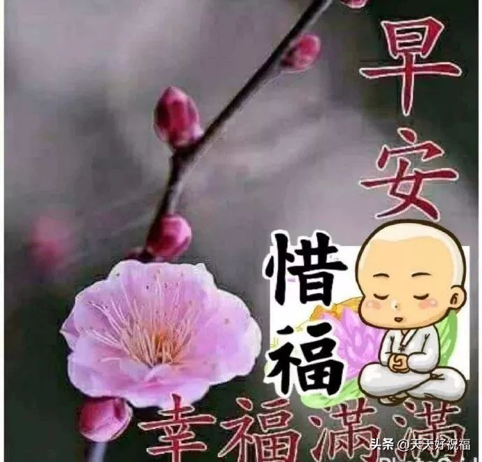 情侣之间早晨问好的句子（送女友的唯美早安问候语）