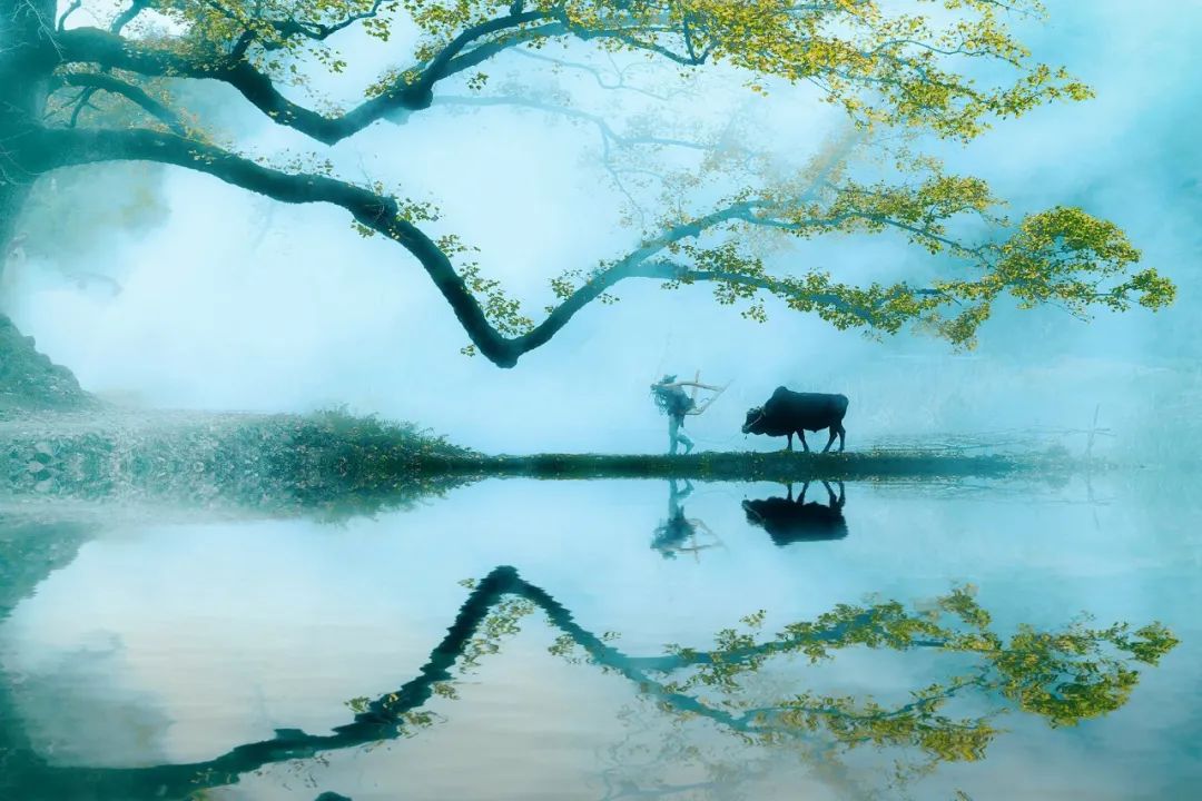 田园诗词大全100首（描写乡村田园风光的古诗）