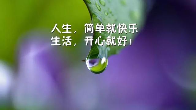 励志美文精选简短（激励人心的范文）