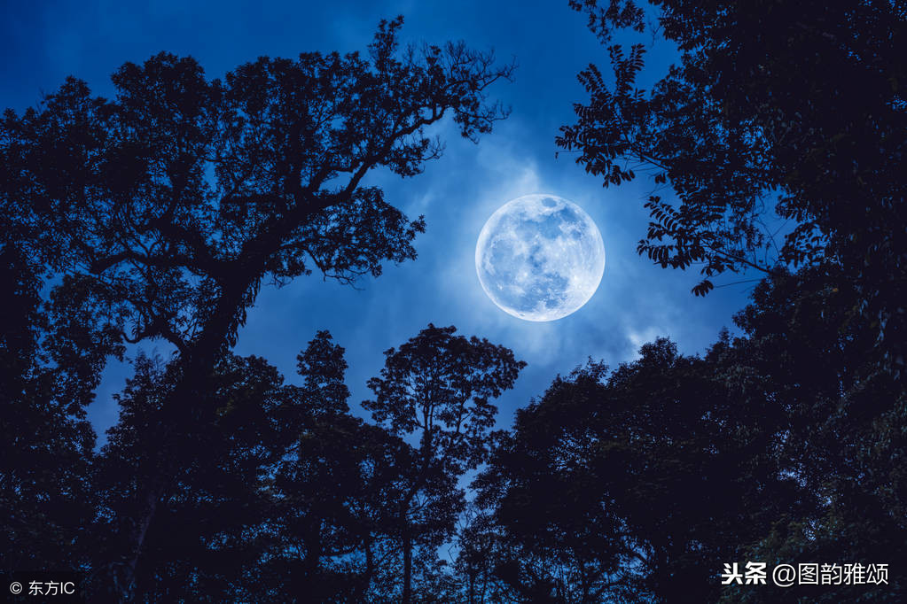 描写月亮的古诗20首有哪些（关于月亮的古诗大全）