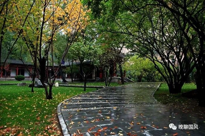 飒飒秋雨中的意思（秋雨抒情的经典语录 ）