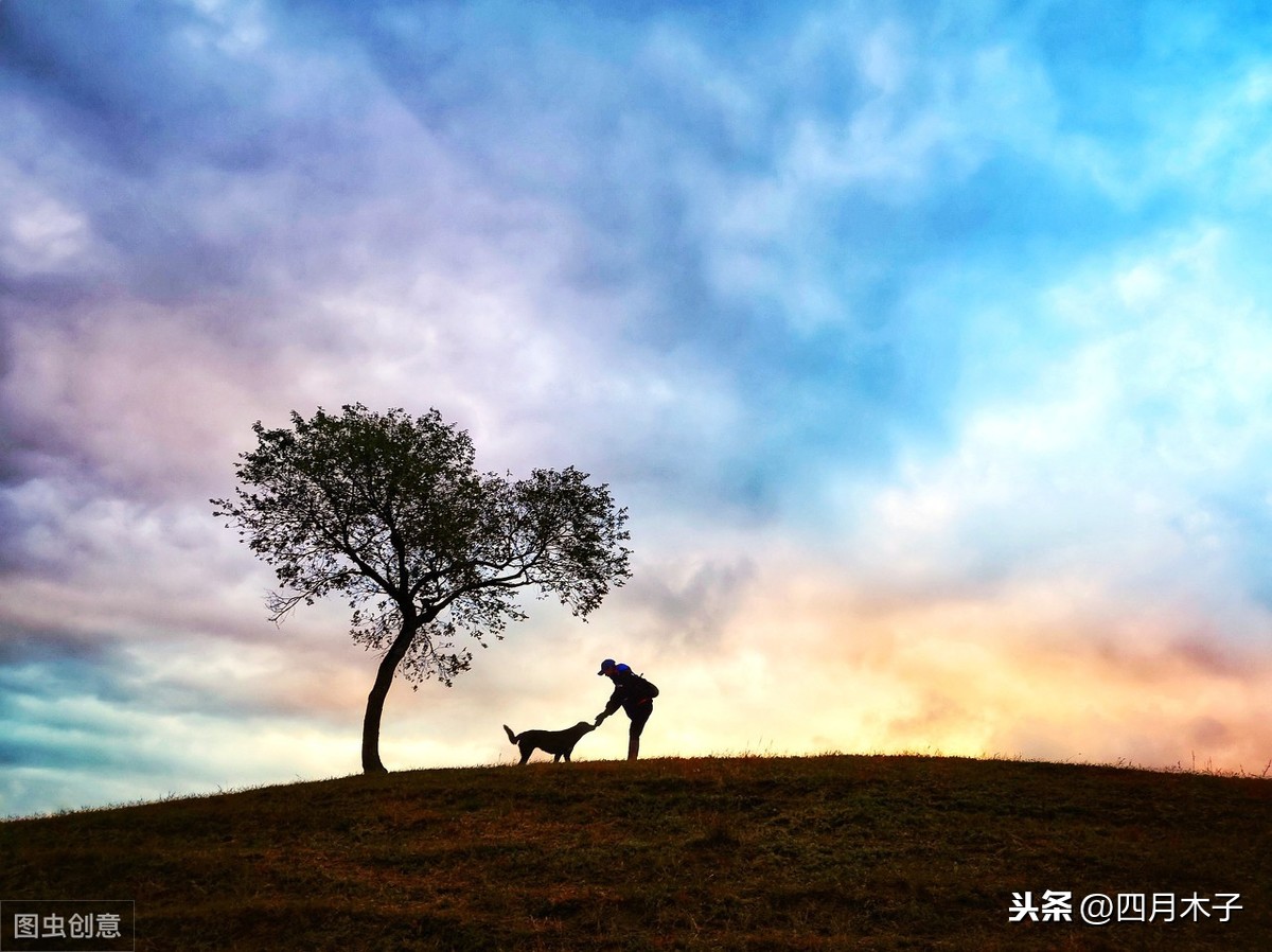 相遇的句子唯美短句（感谢相遇的短句）