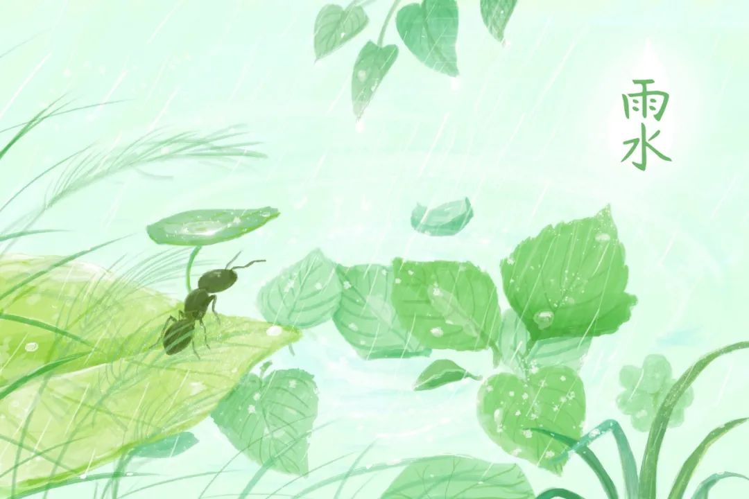 描写春雨的句子佳句（有关春雨的优美句子）