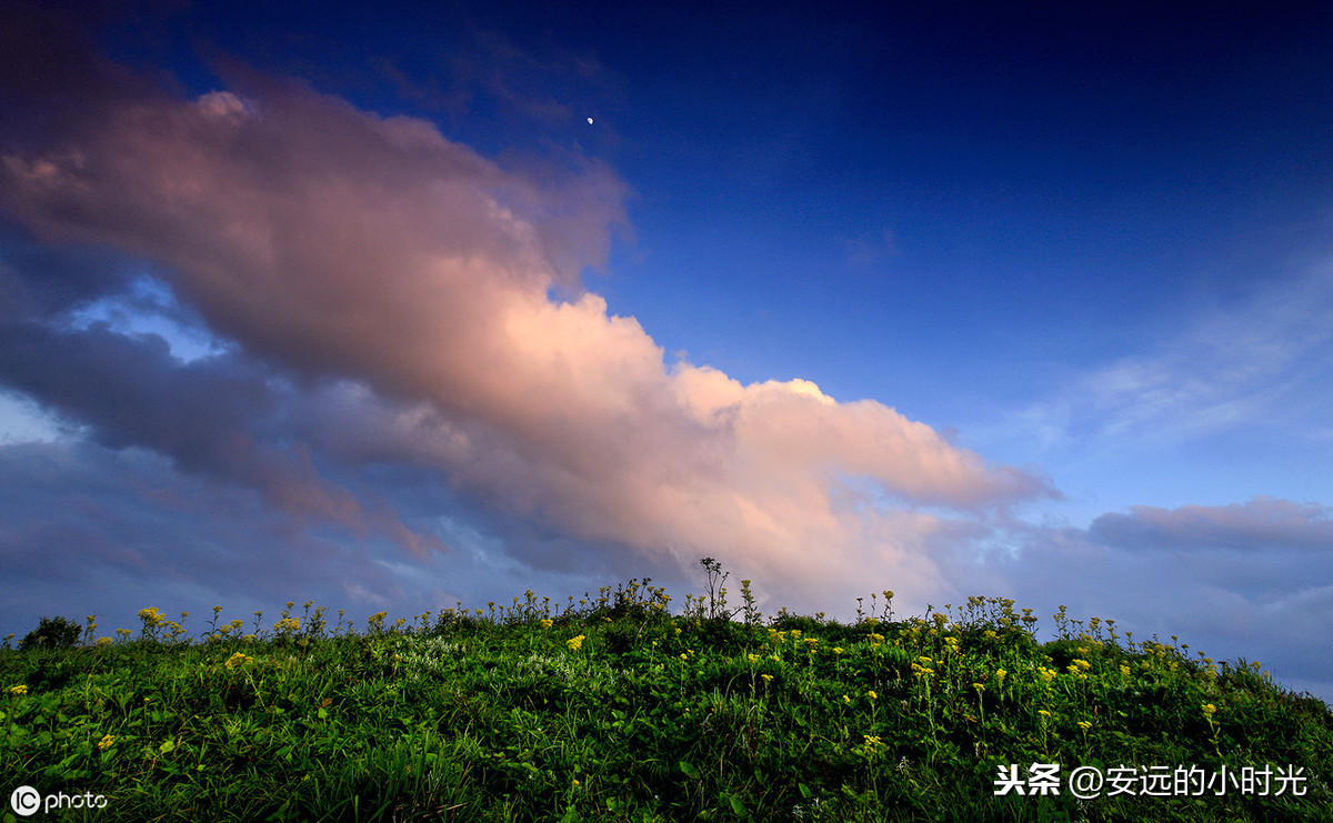 顾城爱情诗句经典（最能打动人的现代情诗）