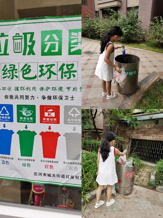 垃圾分类征文简单（美文范文和老师点评）