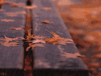 关于雨的诗句古诗大全（描写雨景的12首唯美意境诗）
