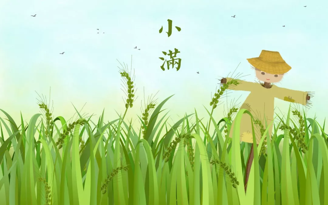 小满诗句古诗大全（关于小满的诗词名句）