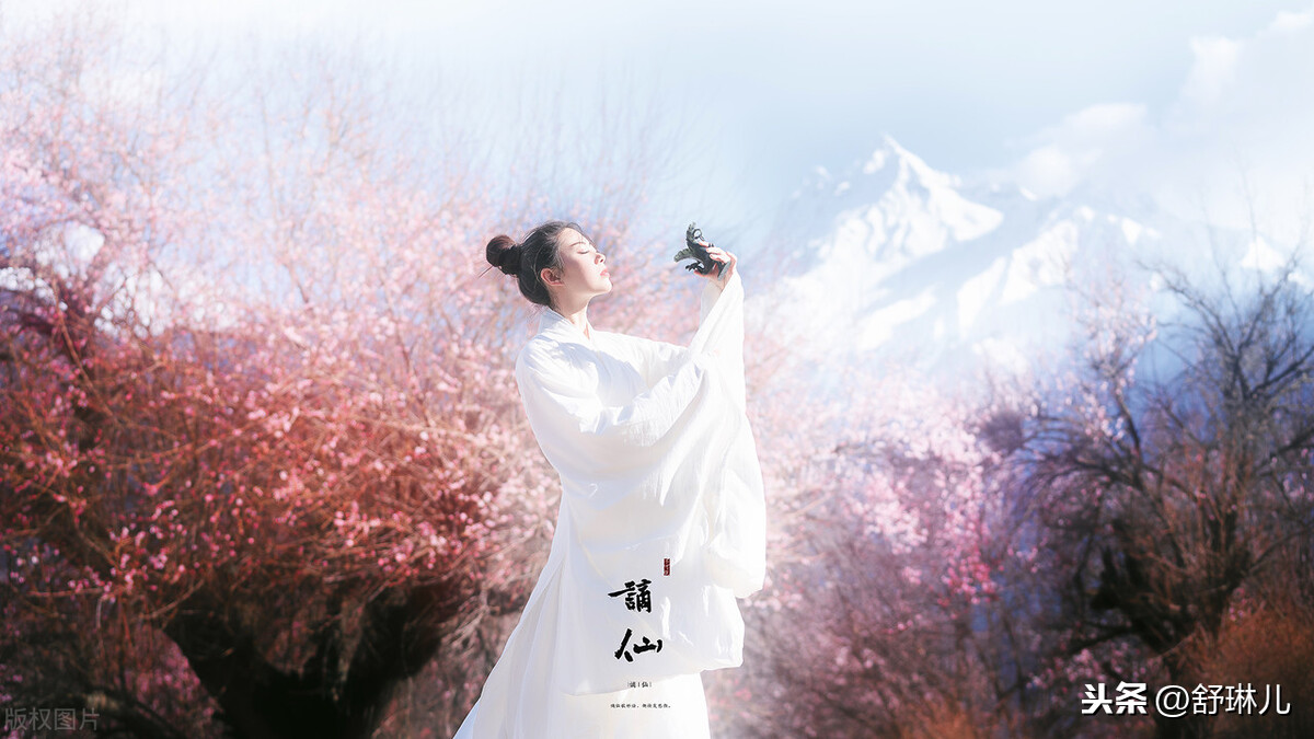 李白诗词赏析论文（杜甫的诗赏析大全）