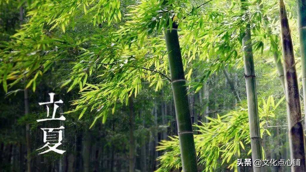 描写流年的唯美词句（带流年的唯美诗词）