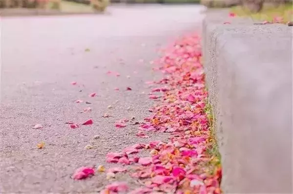 心有阳光唯美句子图片（正能量阳光清新的心情说说）
