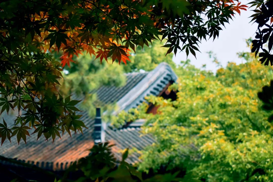 柳永最著名的词句（柳永的情诗名句）