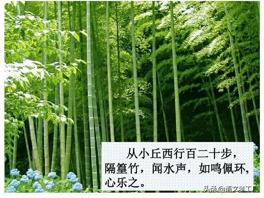 小石潭记表达了作者怎样的感情的句子（小石潭记全文解析）