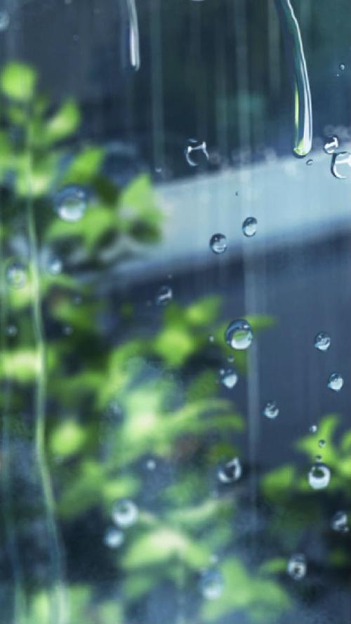 写雨的散文随笔唯美（关于雨的美文摘抄 ）