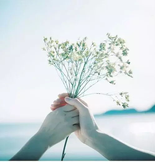 圣经金句必背洁净心灵的句子（《圣经》中的十句金句）