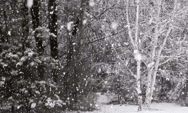 写雪的古诗句有哪些（描写雪的著名的唐诗）
