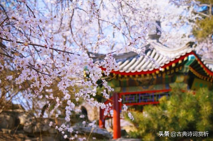 虞美人古诗原文（虞美人全诗鉴赏）
