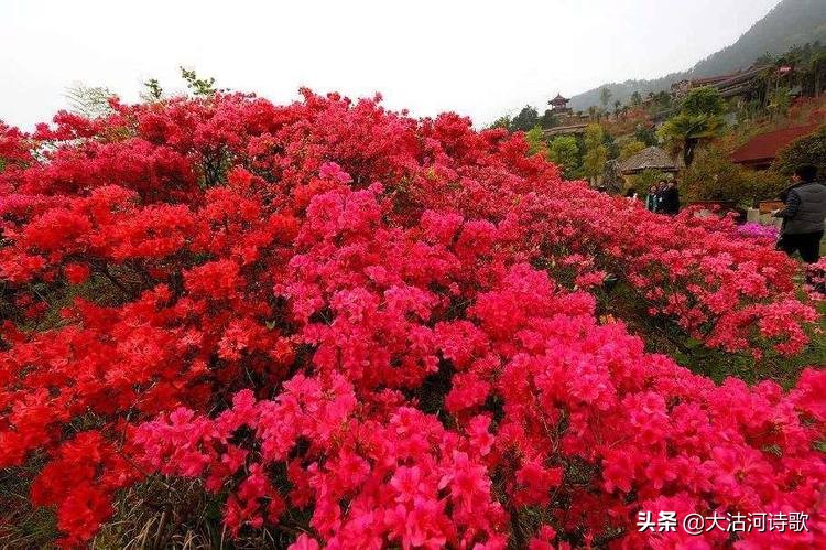 缅怀先烈诗词有哪些（表达对烈士的敬意的诗句）