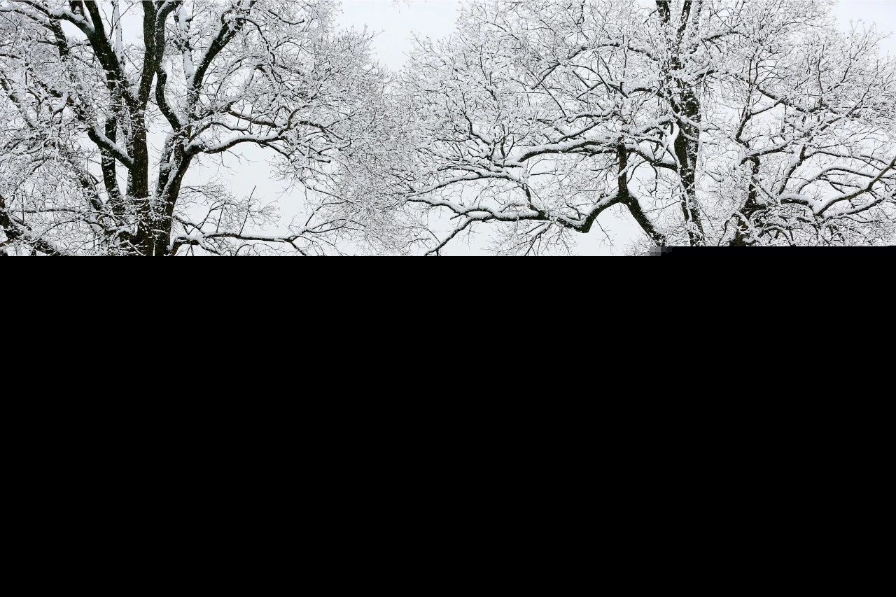 雪诗句古诗大全（描写雪的诗词名句 ）
