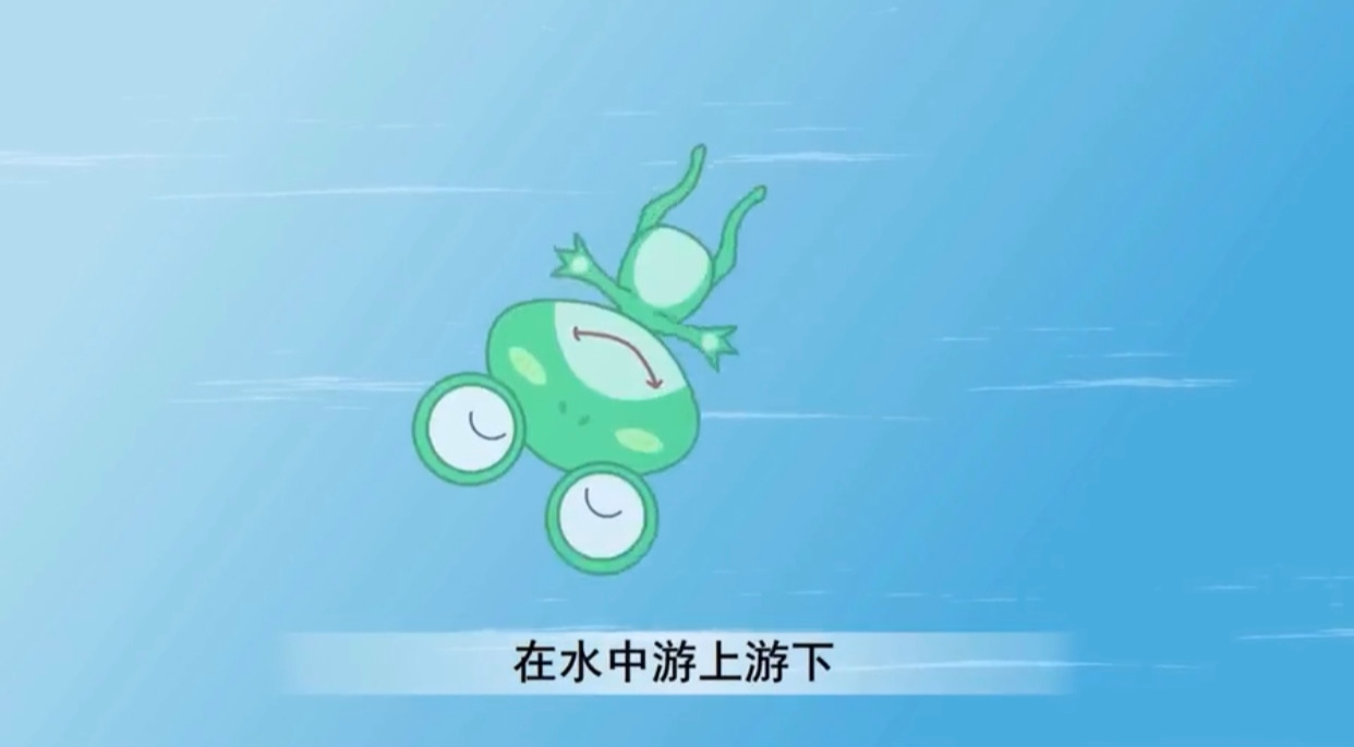 井底之蛙的寓言故事（井底之蛙的寓意和启示）