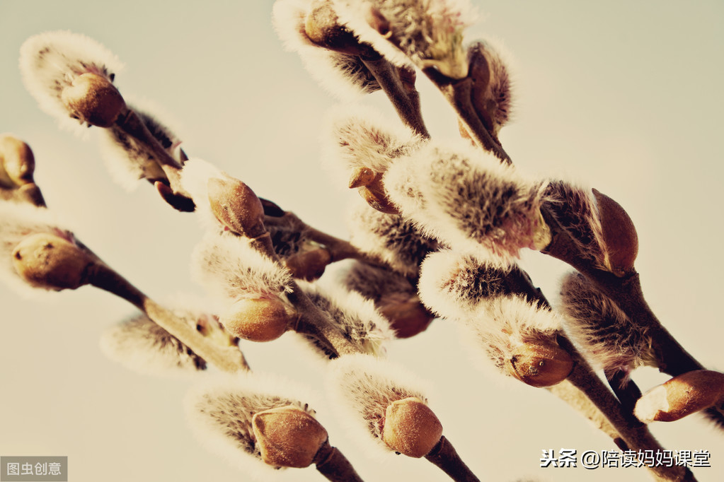 写景的句子摘抄简短（写景的好词好句好段大全）
