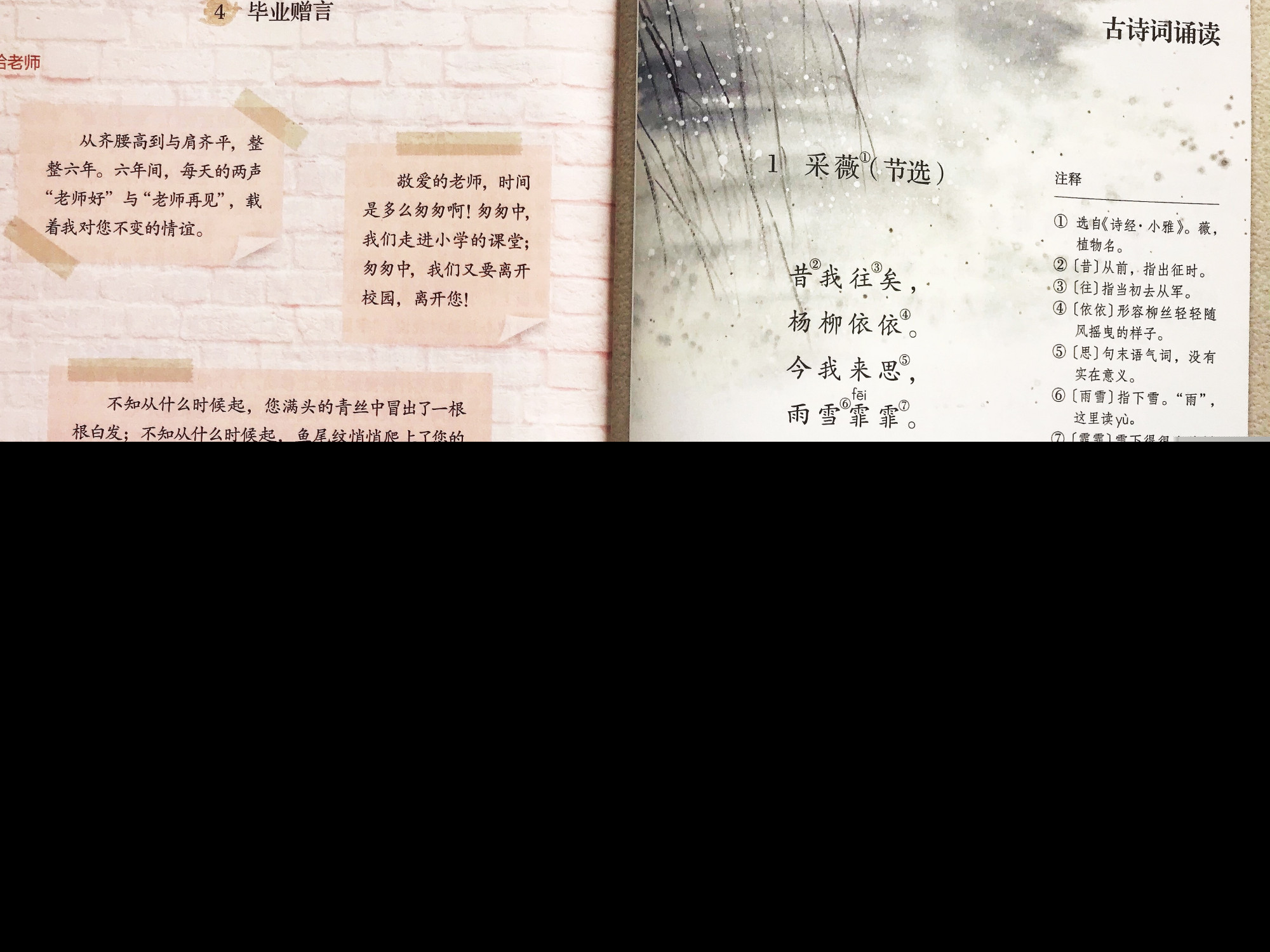 江上渔者译文及注释（江上渔者的意思）