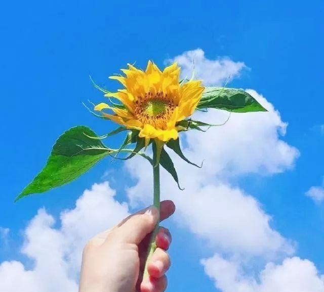 青春语录经典短句唯美（关于青春的说说唯美）