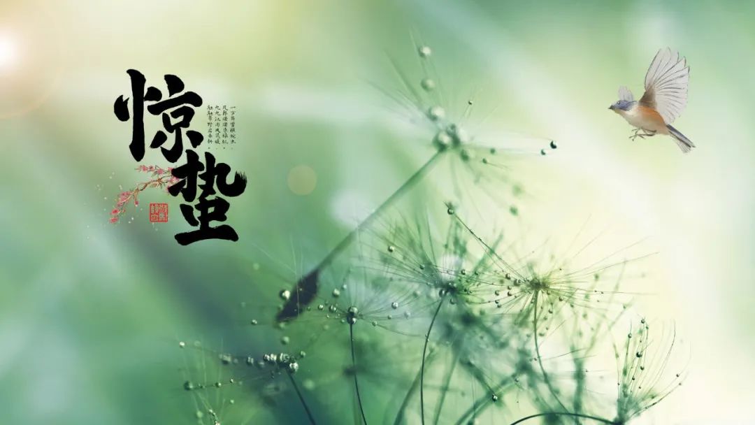 惊蛰的诗句和谚语（关于惊蛰的民间俗语）