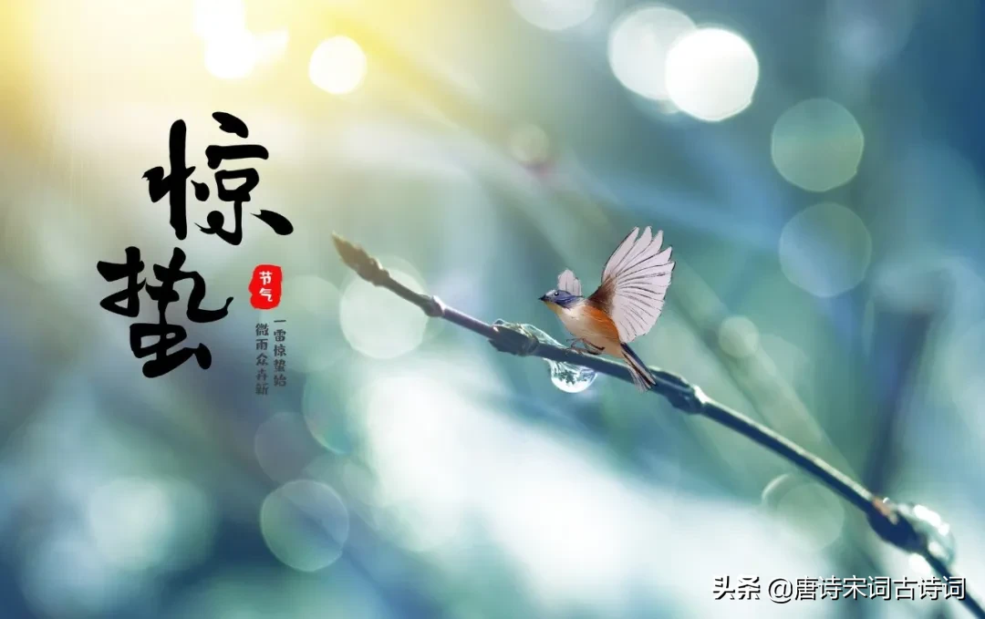 描写惊蛰节气的古诗（关于惊蛰的诗词唯美）