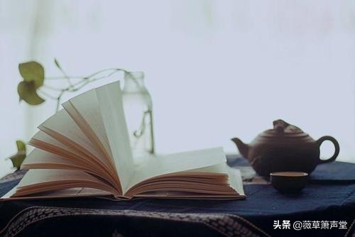 我的窃读记作文（窃读记全文阅读）
