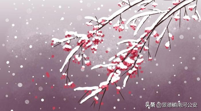 落红不是无情物是谁写的（己亥杂诗其五诗文赏析和解读）