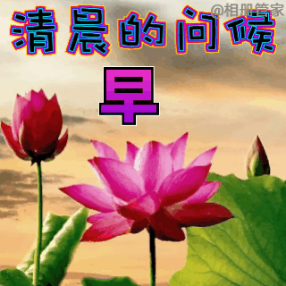 夏天早上问好的句子（唯美励志的早安语录）