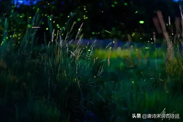 与星星有关的诗句（形容星星的诗句唯美）