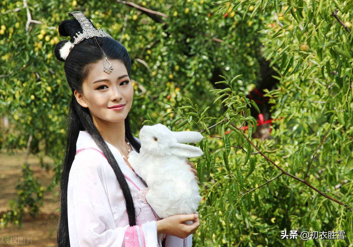 三八妇女节诗句简短（三八节的经典祝福语）