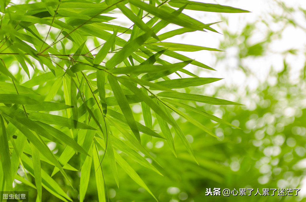 好好珍惜身边人感悟说说（珍惜彼此感情的句子）