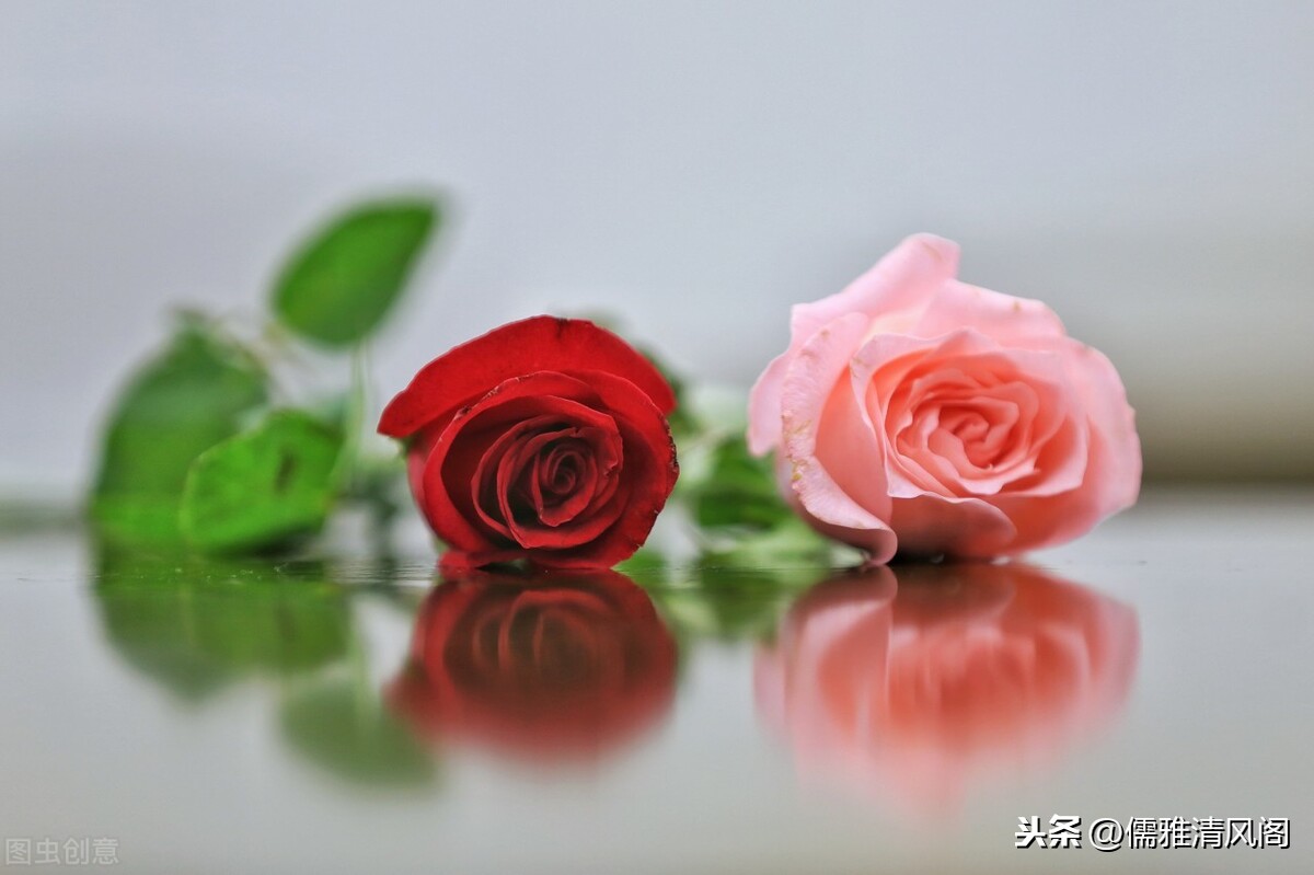 关于爱情的散文诗（表达爱意的诗词或散文）