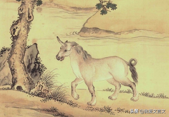 象虎文言文翻译及注释（象虎文言文的寓意）