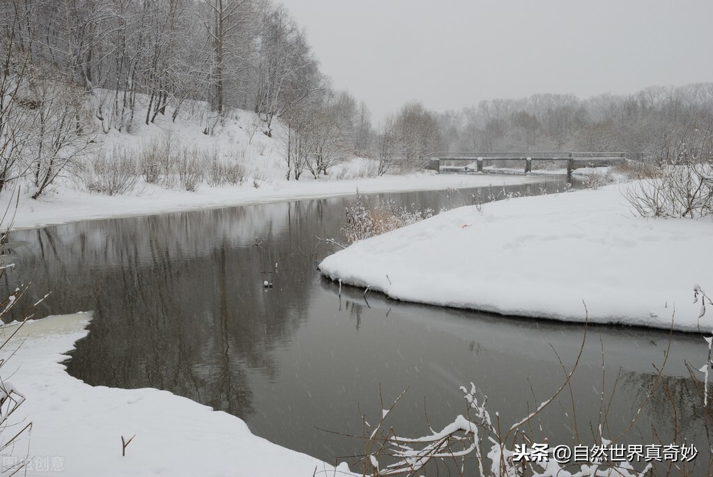 江雪古诗的意思怎么画（古诗江雪全文解析）