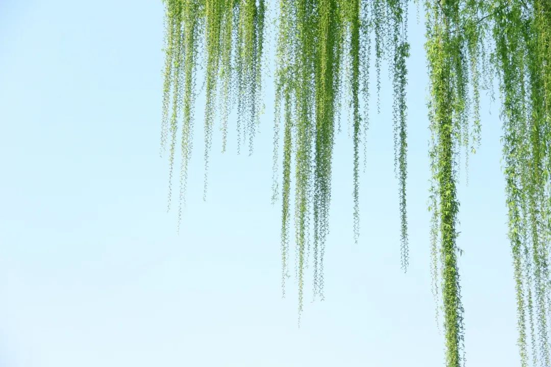 惊蛰的诗有哪些（形容惊蛰时节的诗句）