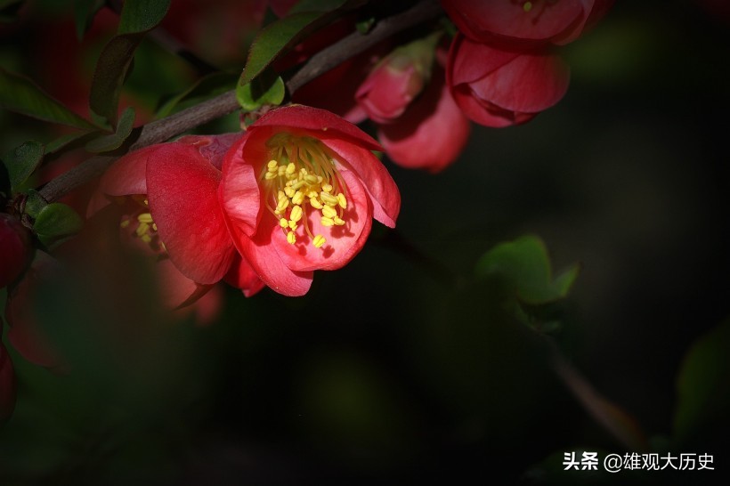 描写春天的诗歌短一点简单（关于春天的古诗大全）