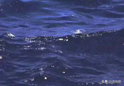 关于美食的唯美句子（描写美食的优美短句）