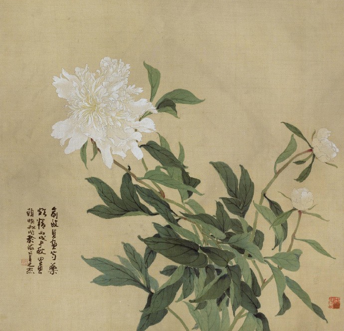 描写夜晚星空的诗句（形容夜晚满天繁星的诗）