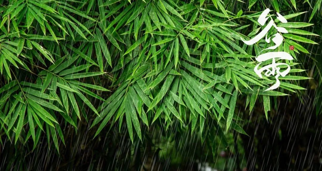 谷雨节气古诗大全（二十四节气古诗大全）