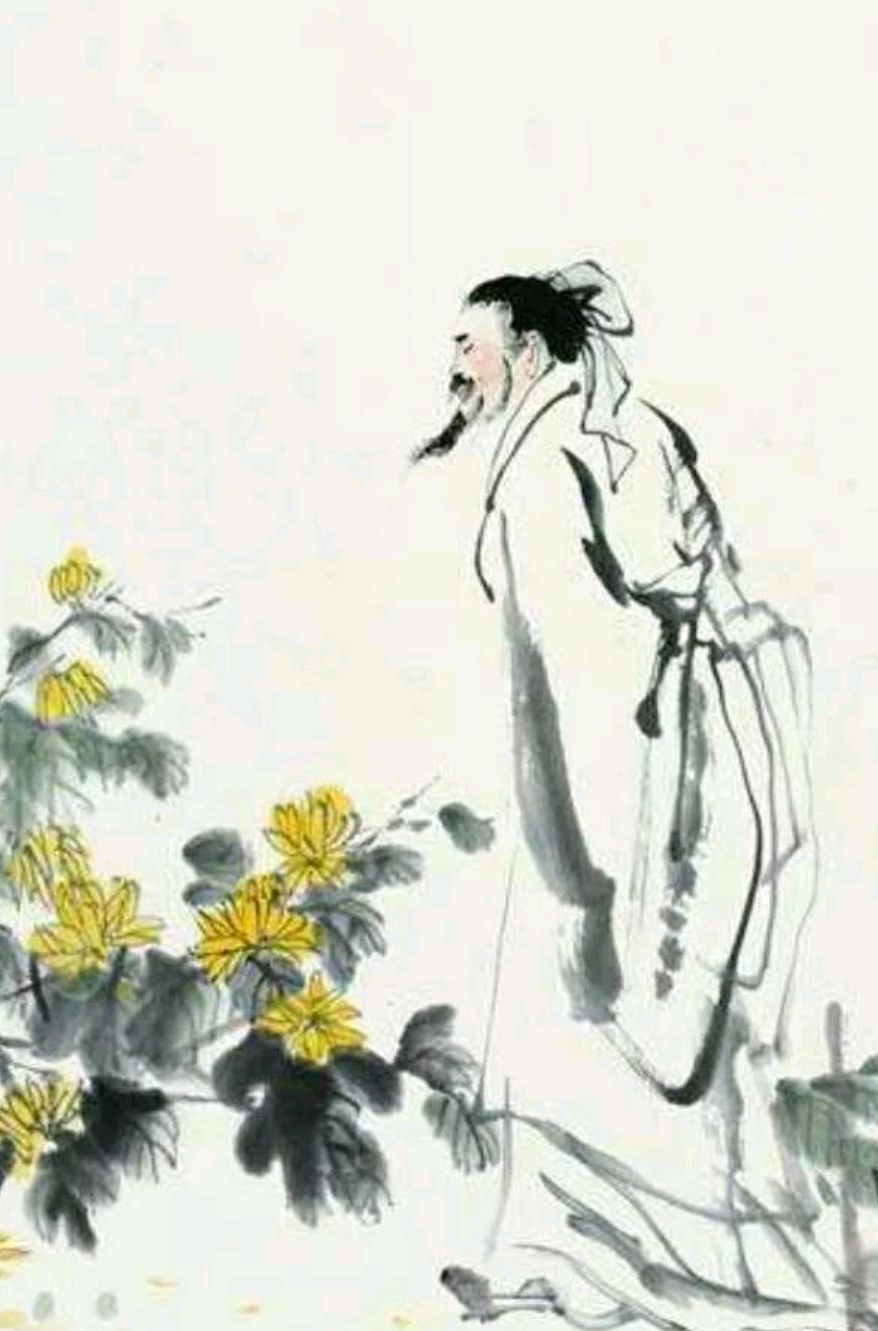 关于中秋的散文美段（描写中秋节的唯美散文）