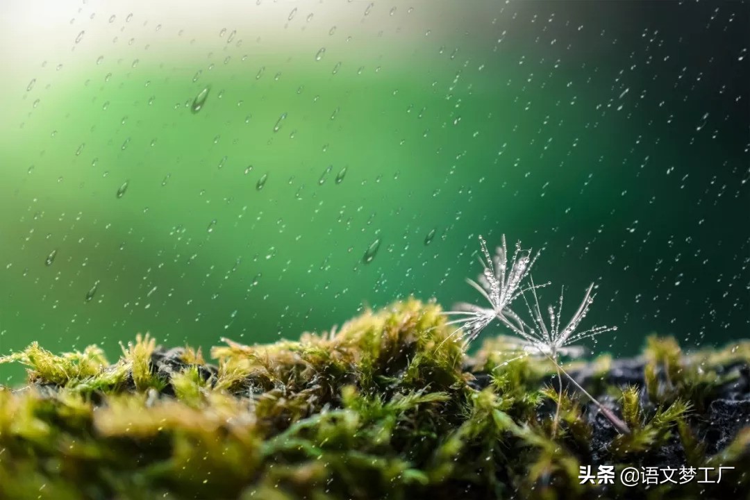 形容心情的诗句唯美（意境优美的古诗词短句）